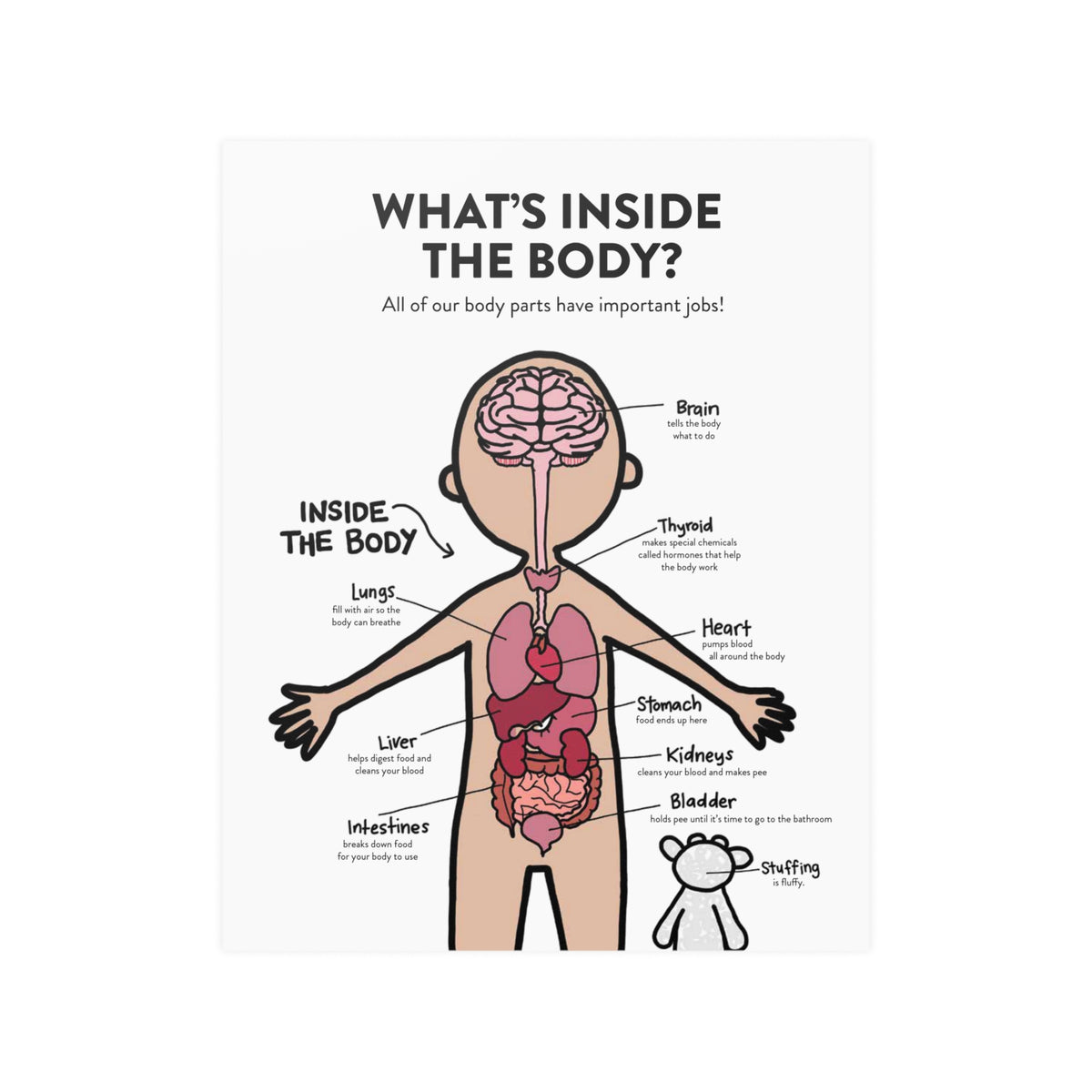 What&#39;s Inside the Body?